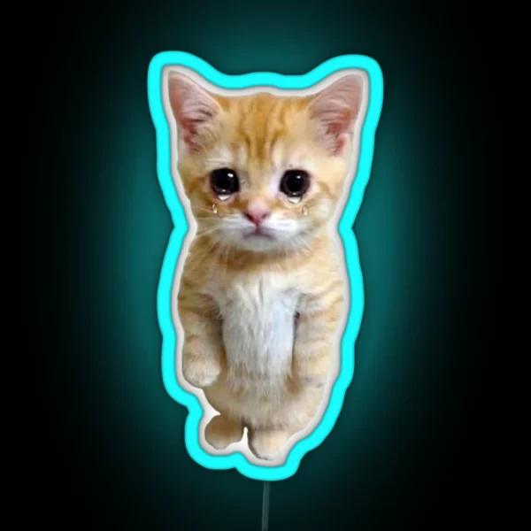 HQ Crying Cat Standing Up Meme RGB Neon Sign