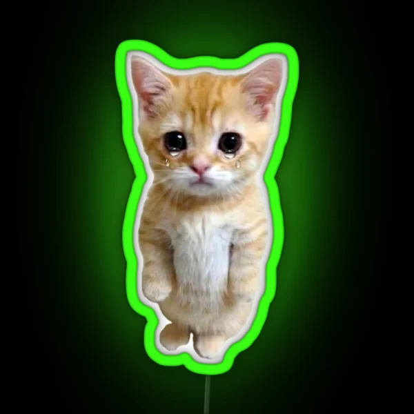 HQ Crying Cat Standing Up Meme RGB Neon Sign