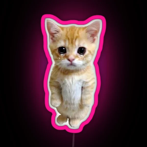 HQ Crying Cat Standing Up Meme RGB Neon Sign