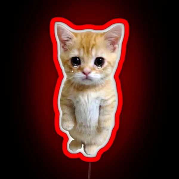 HQ Crying Cat Standing Up Meme RGB Neon Sign
