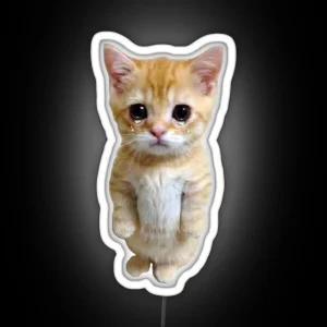 HQ Crying Cat Standing Up Meme RGB Neon Sign