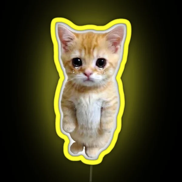 HQ Crying Cat Standing Up Meme RGB Neon Sign