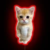 Whimsical RGB Neon Sign Featuring Relatable HQ Crying Cat Design.