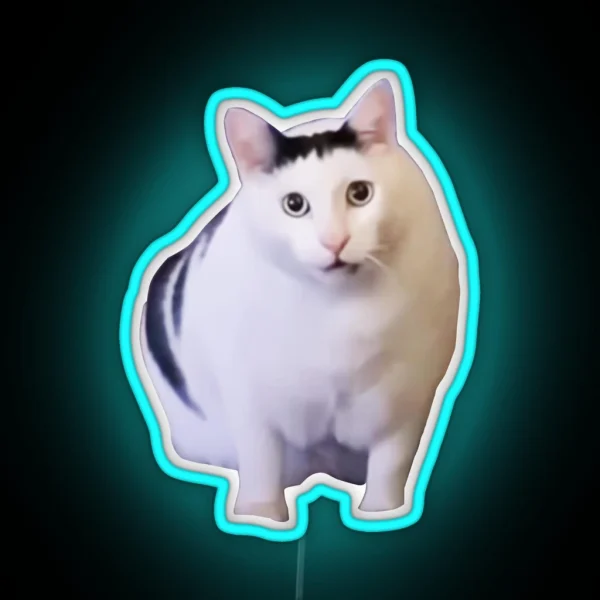 Huh Cat Chonky Ben Meme RGB Neon Sign