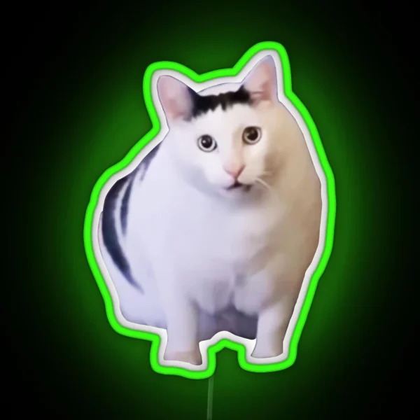 Huh Cat Chonky Ben Meme RGB Neon Sign