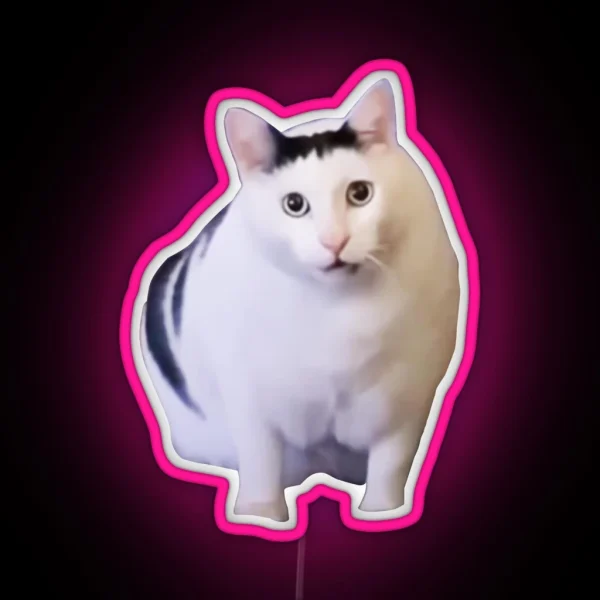 Huh Cat Chonky Ben Meme RGB Neon Sign