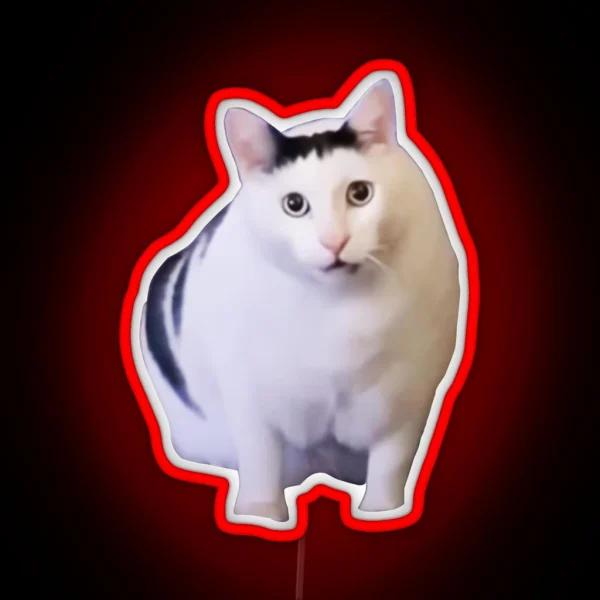 Huh Cat Chonky Ben Meme RGB Neon Sign