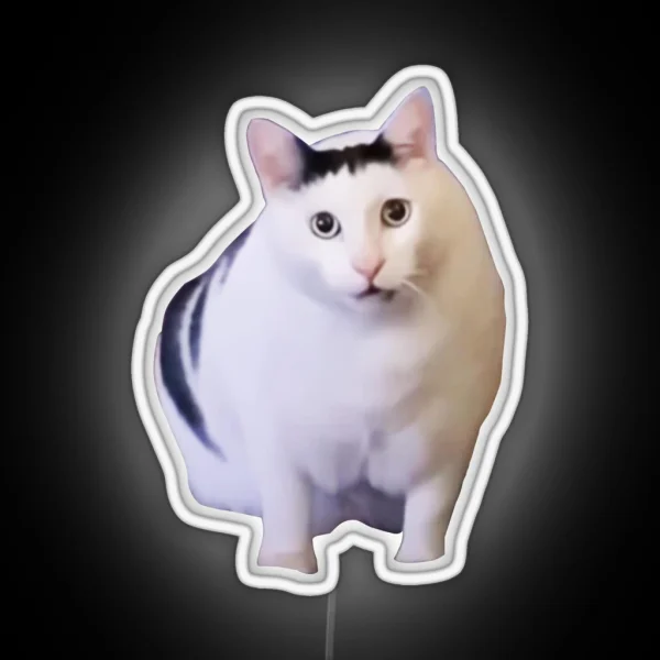 Huh Cat Chonky Ben Meme RGB Neon Sign