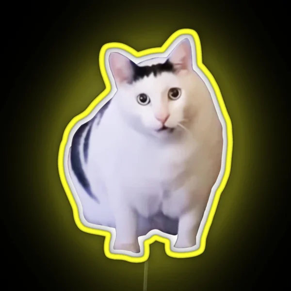 Huh Cat Chonky Ben Meme RGB Neon Sign