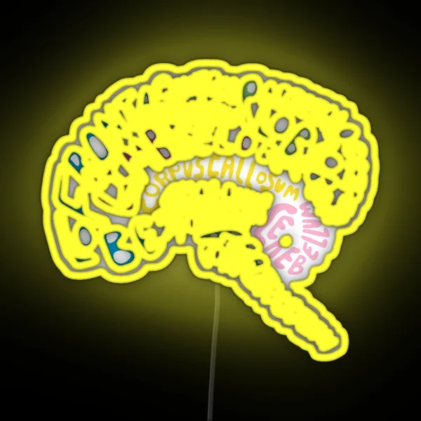Human Brain Anatomy Colored Psychology Design RGB Neon Sign