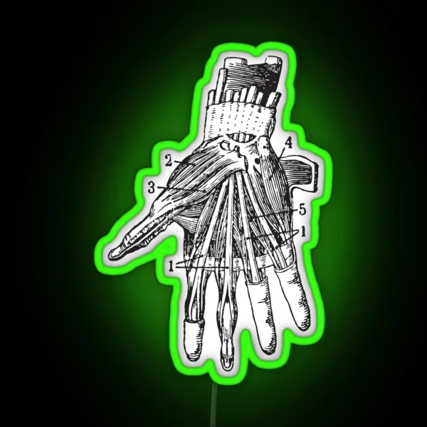 Human Hand Anatomy RGB Neon Sign