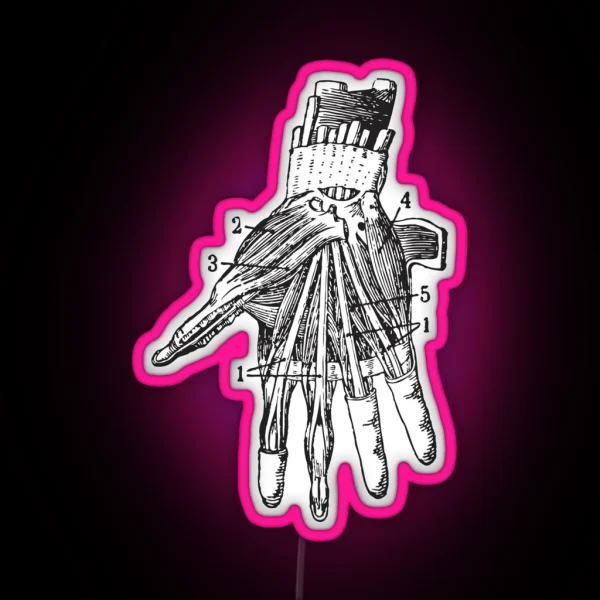 Human Hand Anatomy RGB Neon Sign