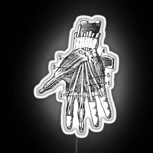 Human Hand Anatomy RGB Neon Sign