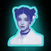 Vibrant Hype Boy Danielle Inspired Neon Sign with Colorful RGB Lighting