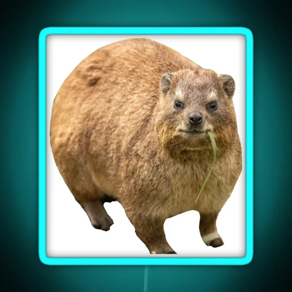 Hyrax Eating Leaf RGB Neon Sign