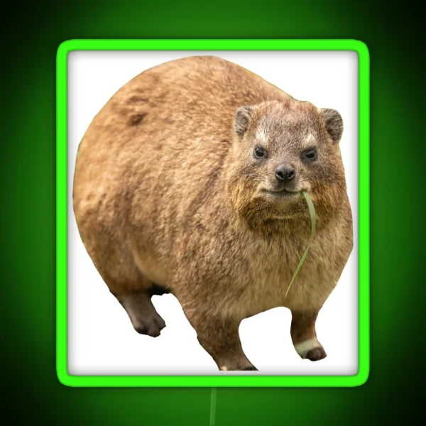 Hyrax Eating Leaf RGB Neon Sign
