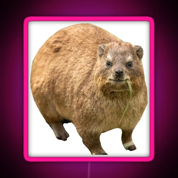 Hyrax Eating Leaf RGB Neon Sign