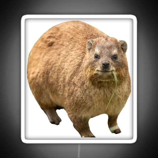 Hyrax Eating Leaf RGB Neon Sign