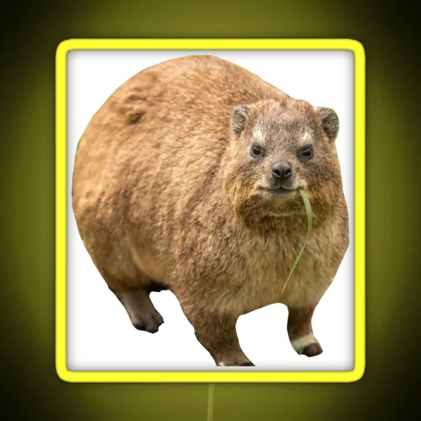 Hyrax Eating Leaf RGB Neon Sign