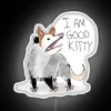 Cute cat boasts confidence with colorful LED illuminated glow signage