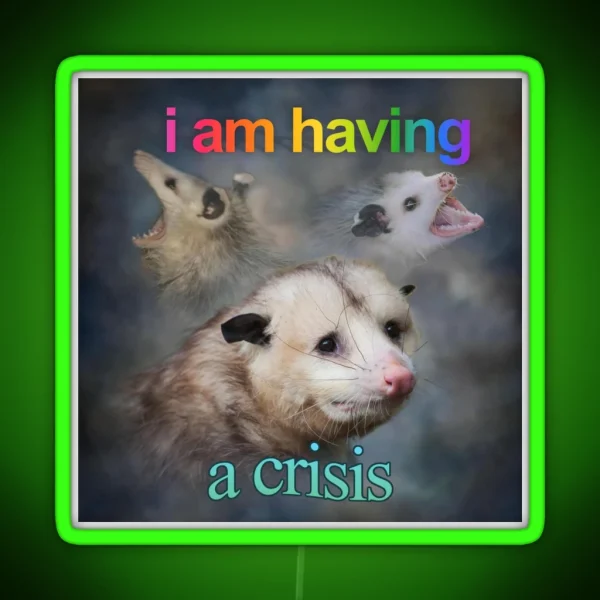 I Am Having A Crisis Possum Word Art RGB Neon Sign