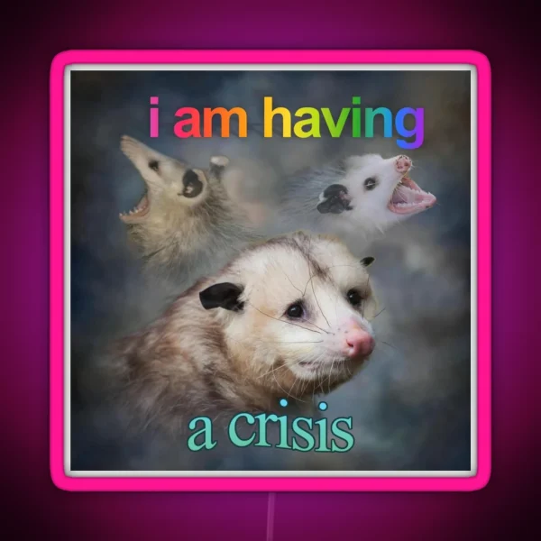 I Am Having A Crisis Possum Word Art RGB Neon Sign