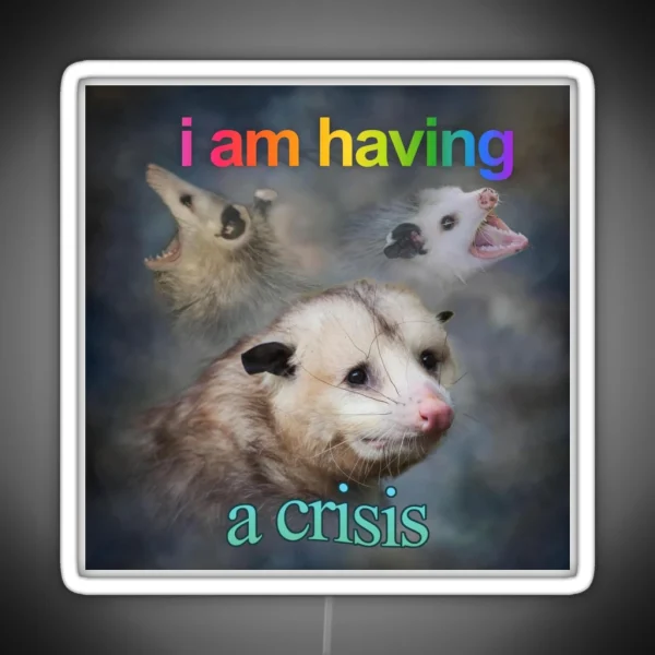 I Am Having A Crisis Possum Word Art RGB Neon Sign