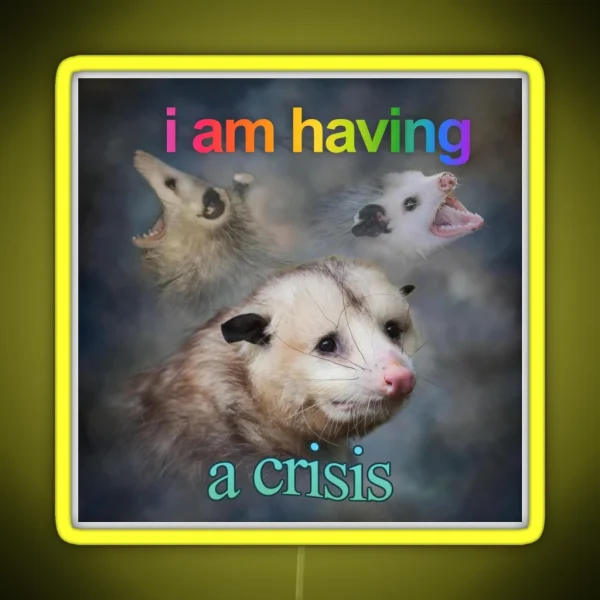I Am Having A Crisis Possum Word Art RGB Neon Sign