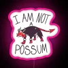 RGB LED Canvas Sign with Vibrant Colorful Artistic Neon Display Lighting