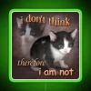Vintage RGB Neon Sign Inspired by Renowned Philosopher's Feline Meme