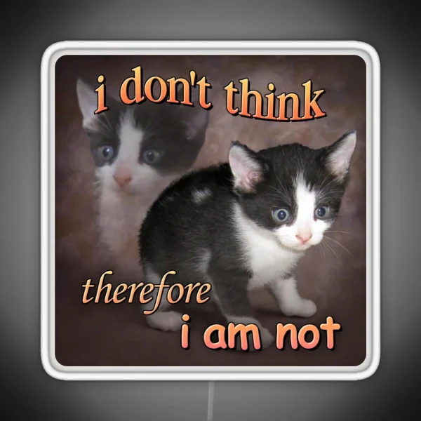 I Don T Think Therefore I Am Not Cat Meme RGB Neon Sign