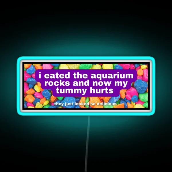 I Eated The Aquarium Rocks And Now My Tummy Hurts RGB Neon Sign