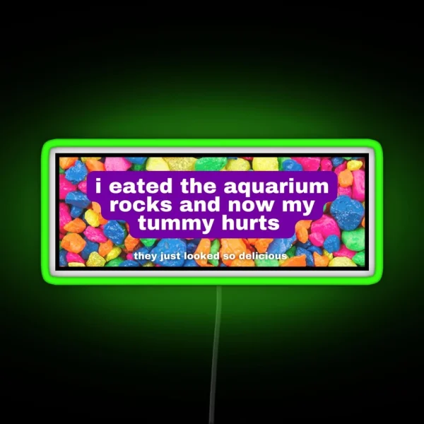 I Eated The Aquarium Rocks And Now My Tummy Hurts RGB Neon Sign