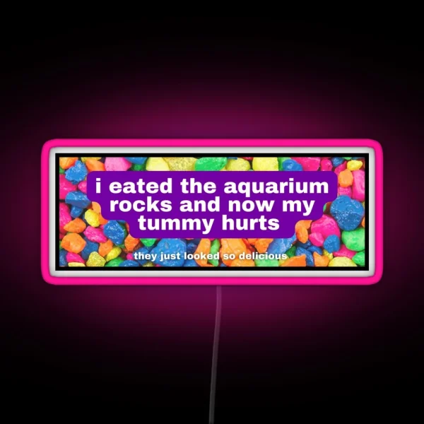 I Eated The Aquarium Rocks And Now My Tummy Hurts RGB Neon Sign