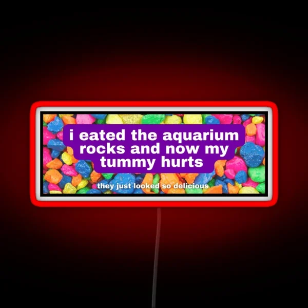 I Eated The Aquarium Rocks And Now My Tummy Hurts RGB Neon Sign