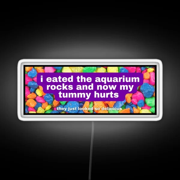 I Eated The Aquarium Rocks And Now My Tummy Hurts RGB Neon Sign