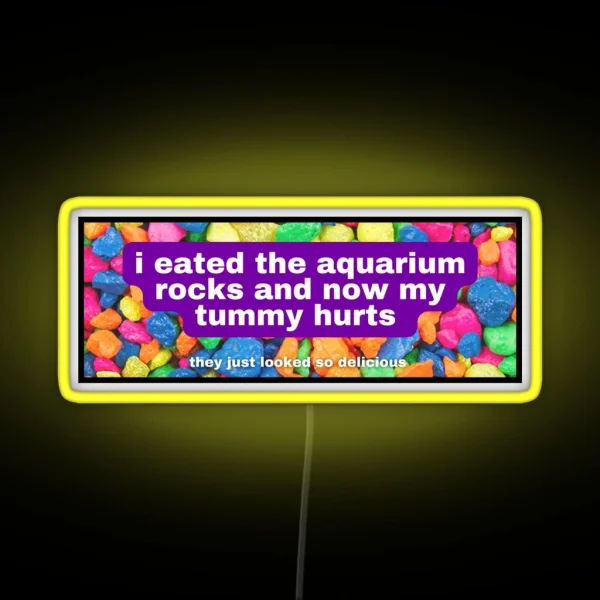 I Eated The Aquarium Rocks And Now My Tummy Hurts RGB Neon Sign
