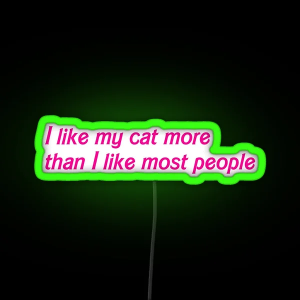 I Like My Cat More RGB Neon Sign