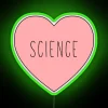 Unique Glow in the Dark Science Lover's Home Decor Accent Sign