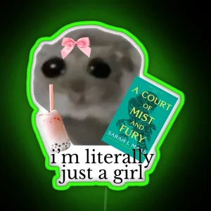 I M Literally Just A Girl Sad Hamster Meme ACOTAR Led RGB Neon Sign