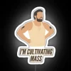 I'm Not Fat I'm Cultivating Mass, Because Fitness is Fabulous