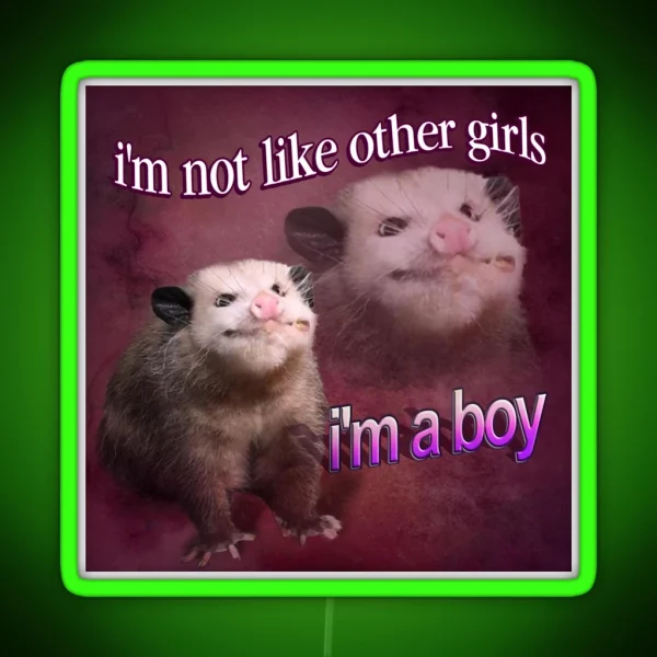 I M Not Like Other Girls I M A Boy Possum Word Art RGB Neon Sign