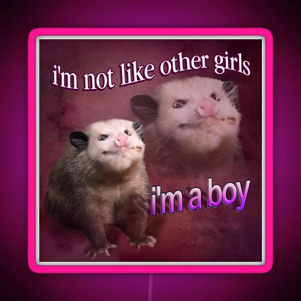 I M Not Like Other Girls I M A Boy Possum Word Art RGB Neon Sign