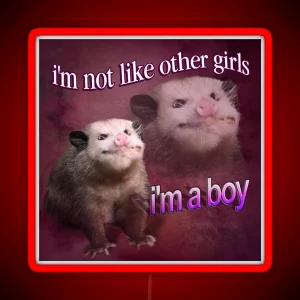 I M Not Like Other Girls I M A Boy Possum Word Art RGB Neon Sign