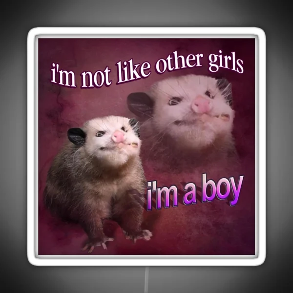 I M Not Like Other Girls I M A Boy Possum Word Art RGB Neon Sign