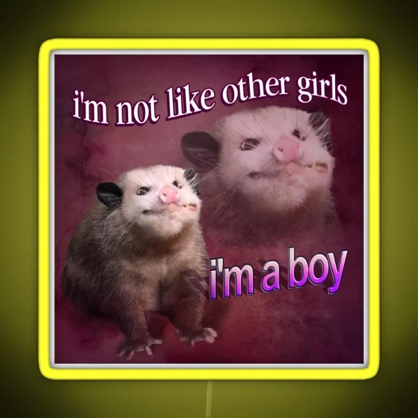 I M Not Like Other Girls I M A Boy Possum Word Art RGB Neon Sign