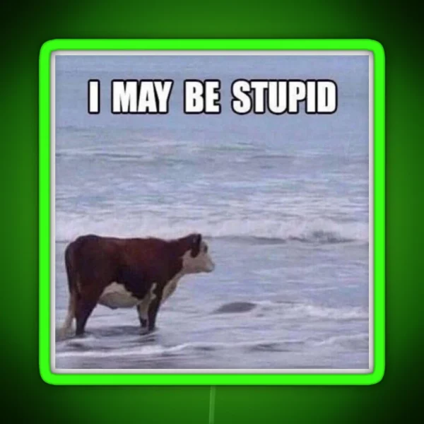 I May Be Stupid RGB Neon Sign