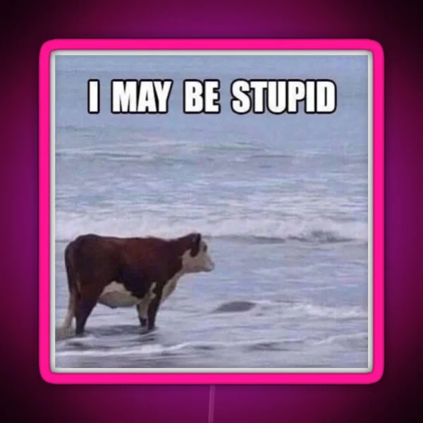 I May Be Stupid RGB Neon Sign