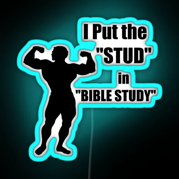 I Put The STUD In BIBLE STUDY RGB Neon Sign