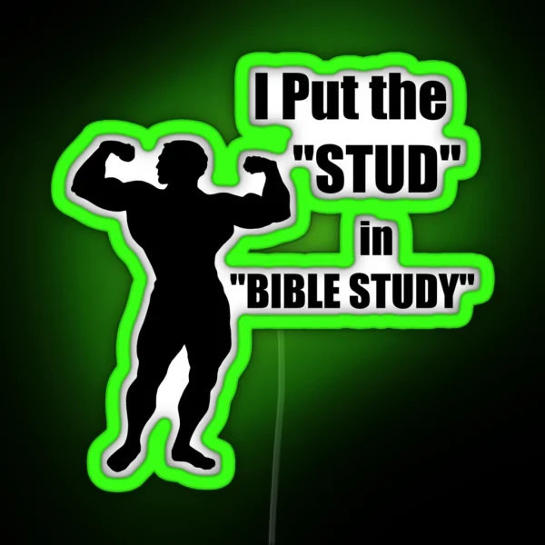 I Put The STUD In BIBLE STUDY RGB Neon Sign